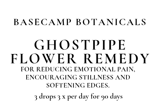 Ghostpipe Flower Remedy