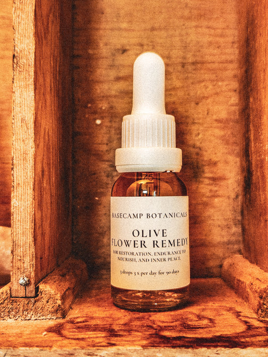 Olive Flower Remedy