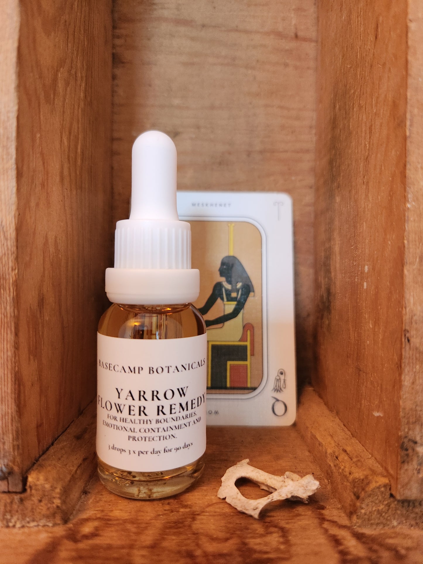 Yarrow Flower Remedy