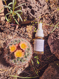 Colorado Hookless Cactus Flower Remedy