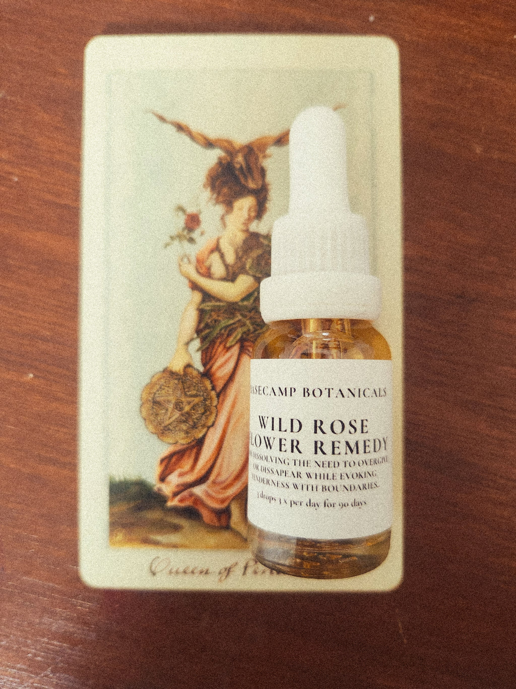 Wild Rose Flower Remedy