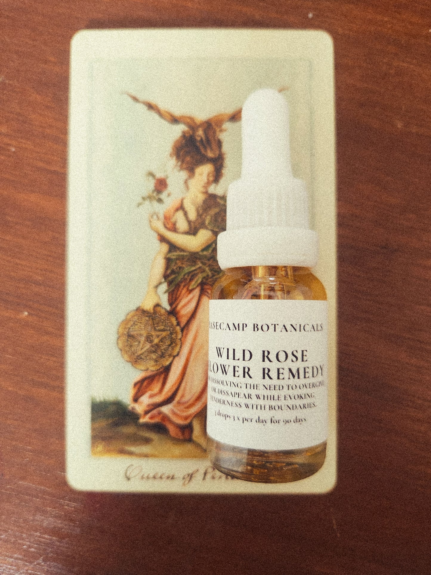 Wild Rose Flower Remedy