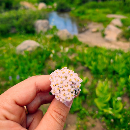 Yarrow Flower Remedy