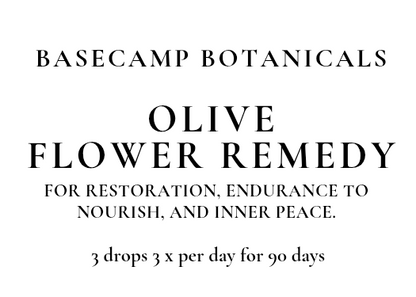Olive Flower Remedy