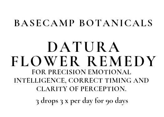Datura Flower Remedy