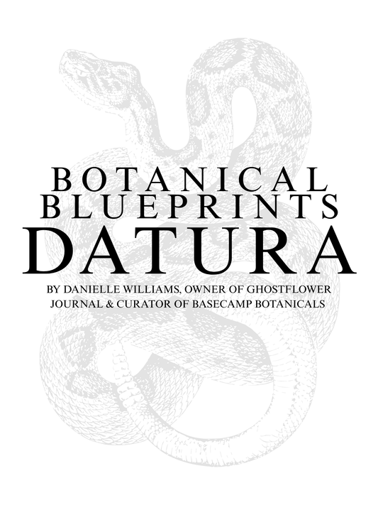 Botanical Blueprint: Datura