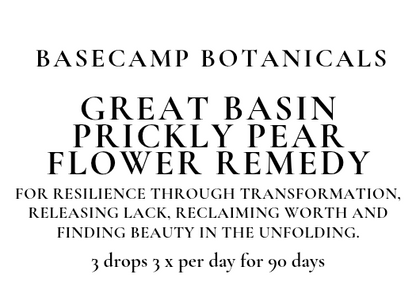 Great Basin Prickly Pear Flower Remedy