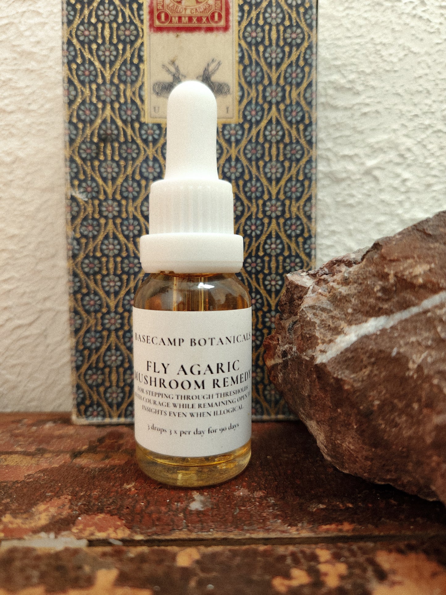 Fly Agaric Mushroom Remedy
