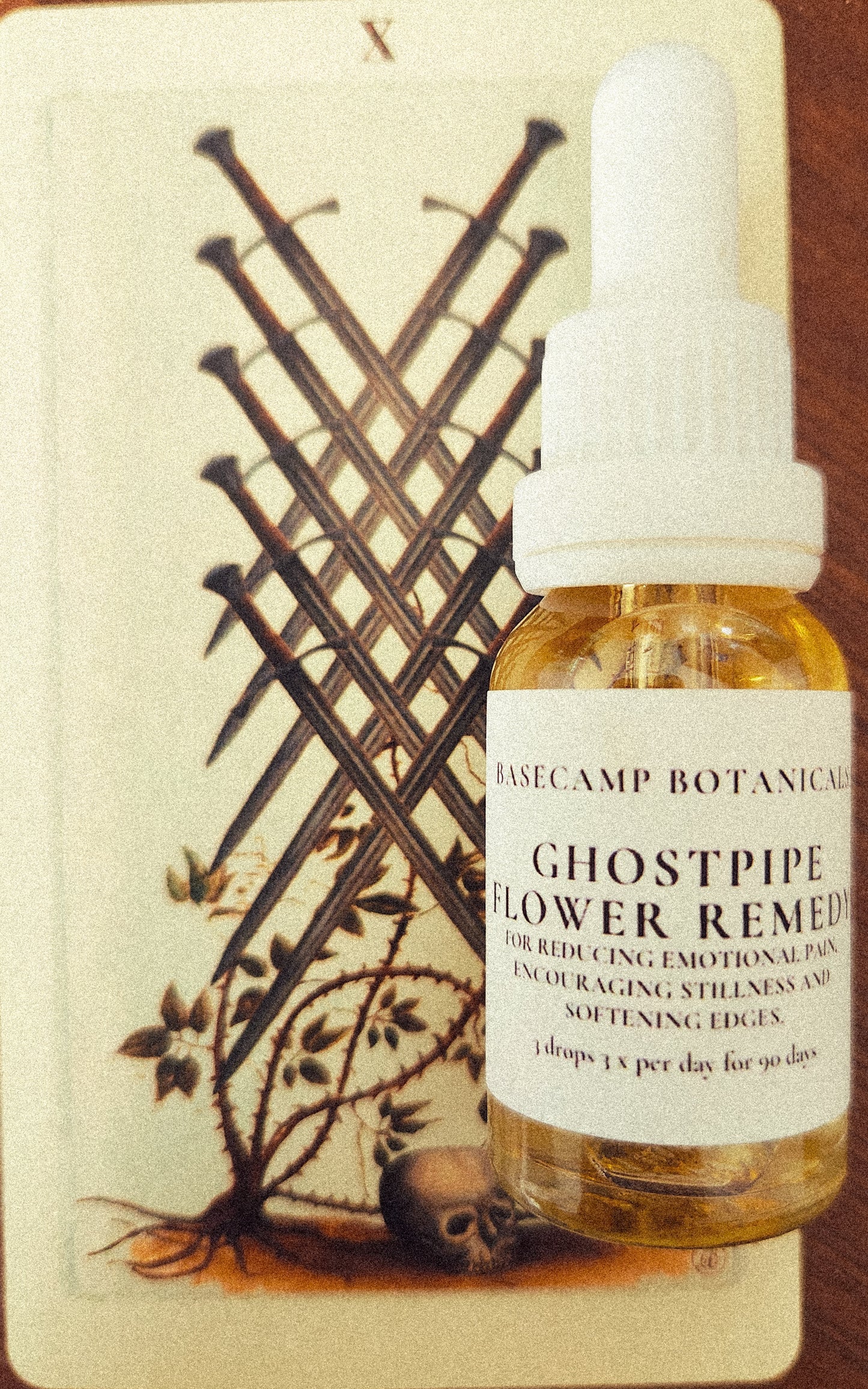 Ghostpipe Flower Remedy