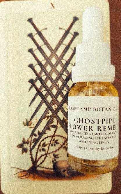 Ghostpipe Flower Remedy