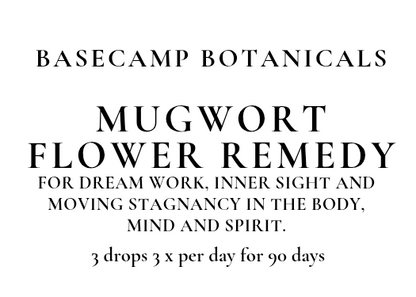 Mugwort Flower Remedy