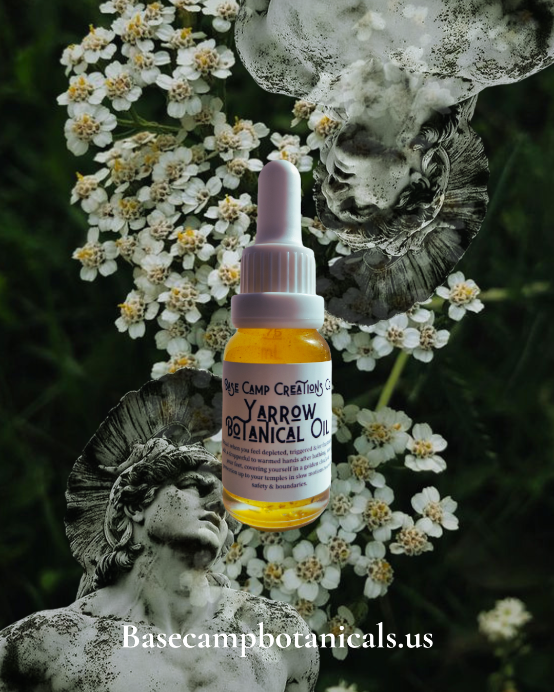 Yarrow Botanical Oil