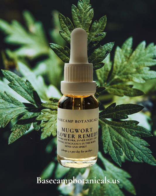 Mugwort Flower Remedy