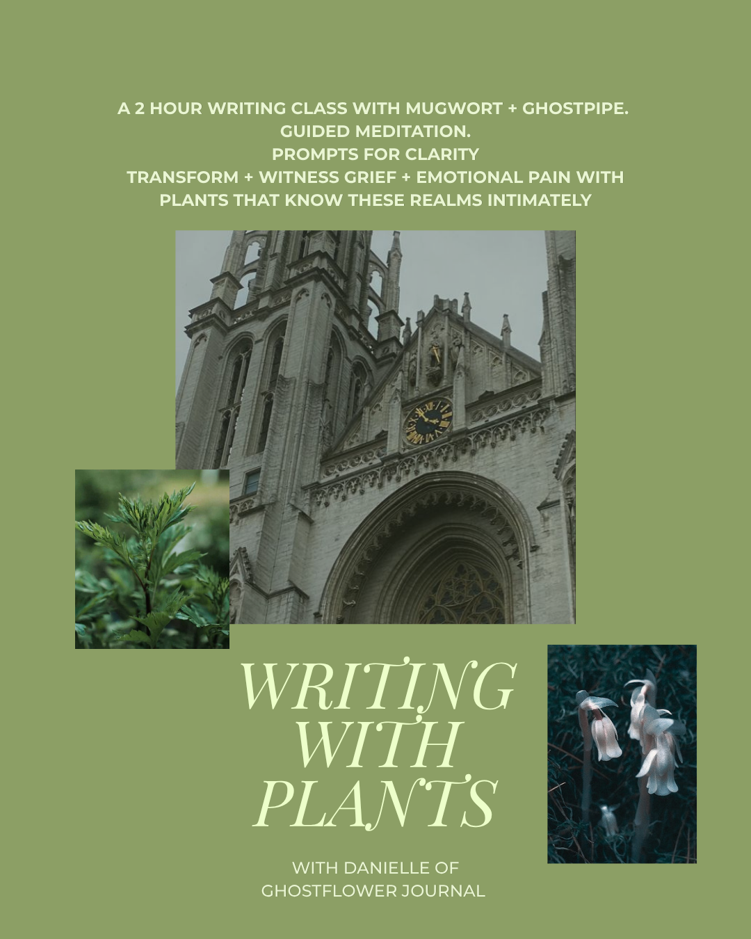 Writing With Plants