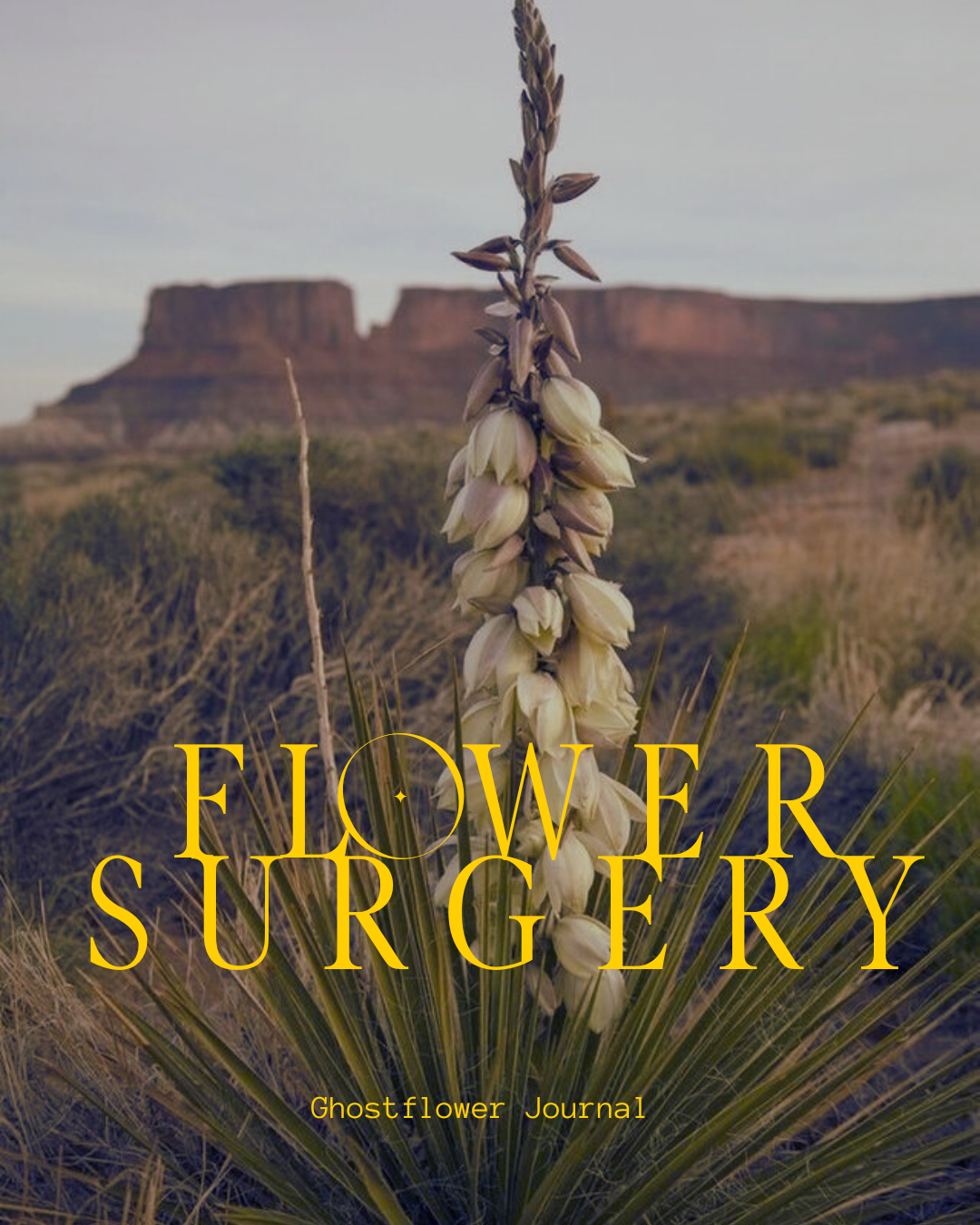 Flower Surgery Mentorship